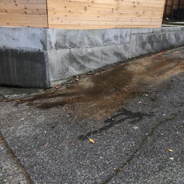 Action Junk Removal