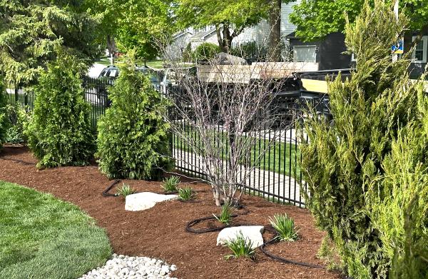 Willow Glen Lawn & Landscape