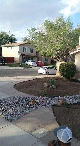 Gabriel Gardening & Maintenance