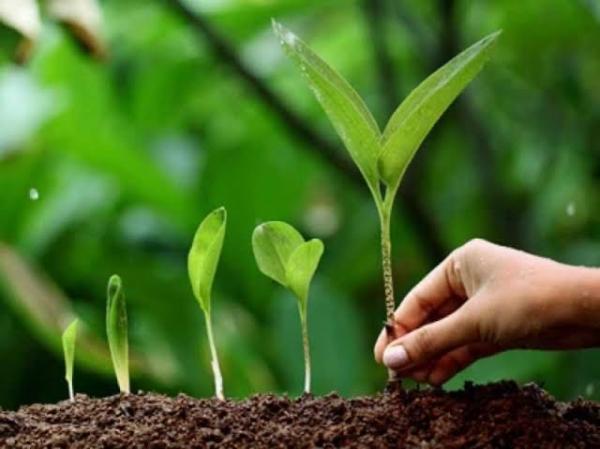 Environmental Management Associates Inc.