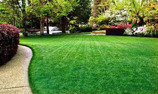Battles Lawn Care LLC