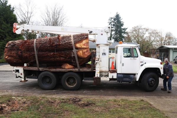 Urban Lumber Tree Service