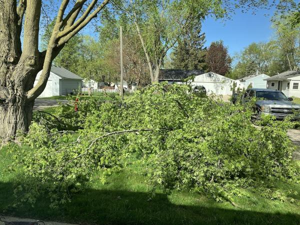 Jp's Tree Service LLC