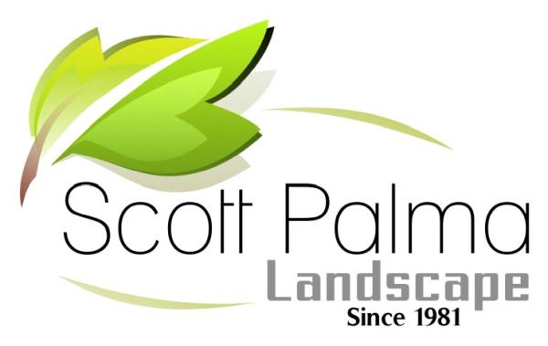 Scott Palma Landscape