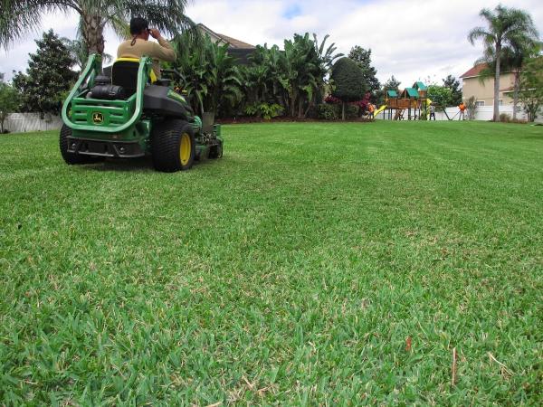 G & Anthony Maintenance and Irrigation Contractor