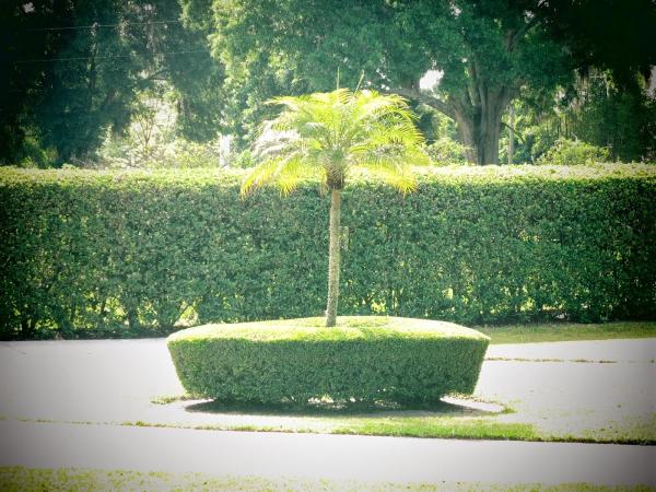 G & Anthony Maintenance and Irrigation Contractor