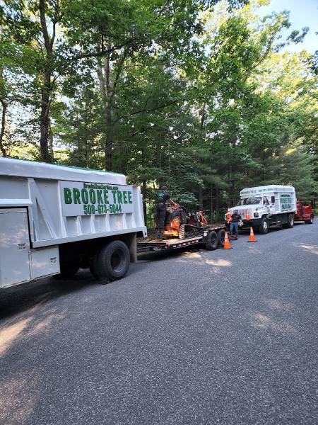 Brooke Tree Service