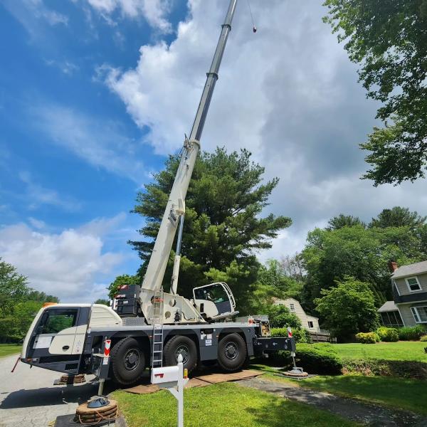 Brooke Tree Service
