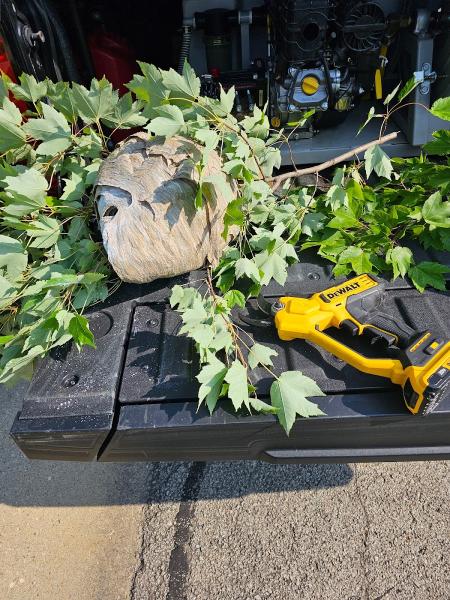 G & G Termite & Pest Control