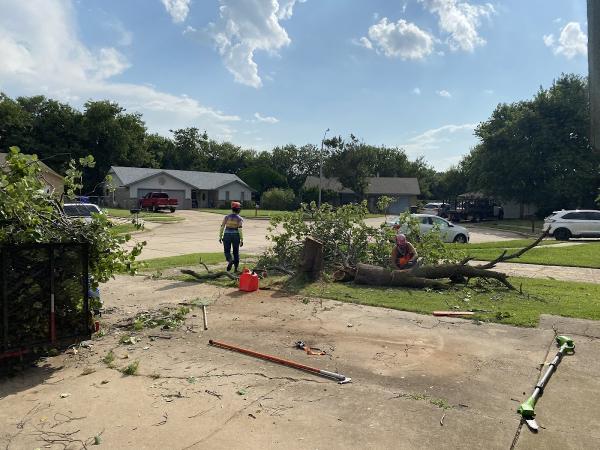 Lumberjane Tree Services LLC