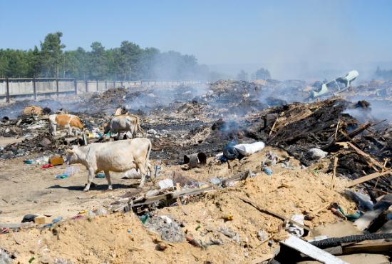 Staten Island Junk Removal