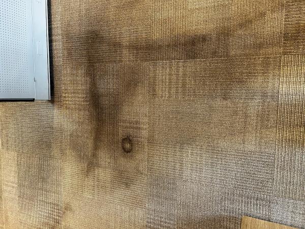 Enviro Carpet Cleaning
