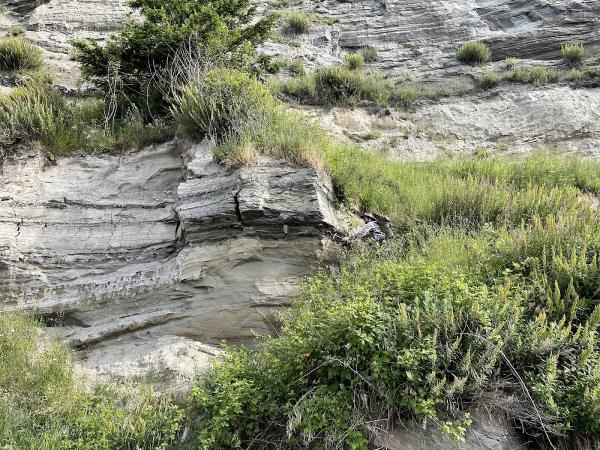 Associated Earth Sciences Inc