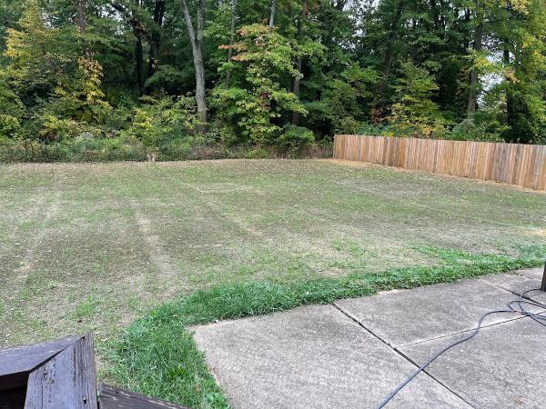 Creative Scapes Lawn & Landscaping LLC