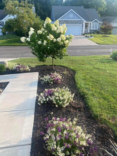 Creative Scapes Lawn & Landscaping LLC