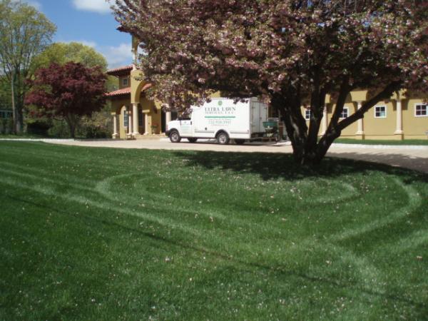 Ultra Lawn Services