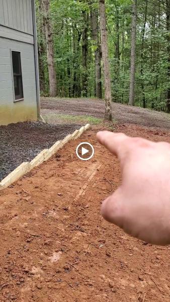 Grubb Tree and Excavation