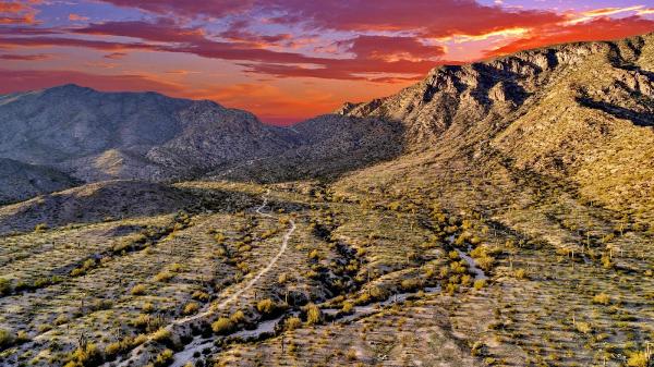 Phoenix Virtual Tour