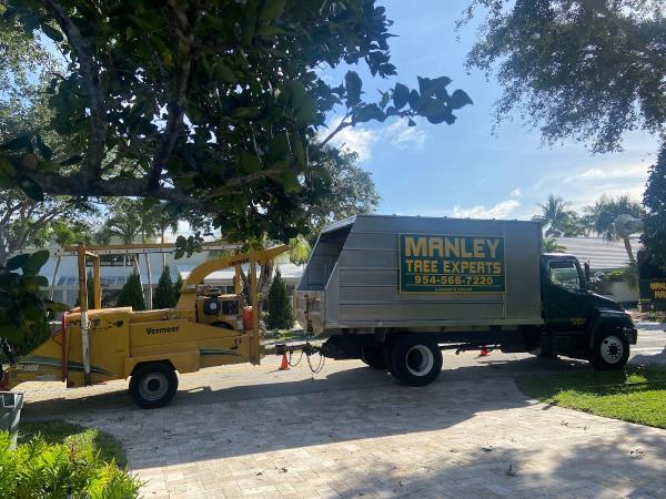 Manley Tree Service