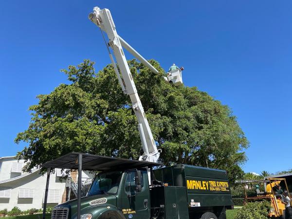 Manley Tree Service