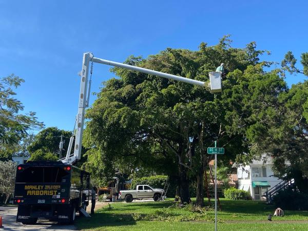 Manley Tree Service