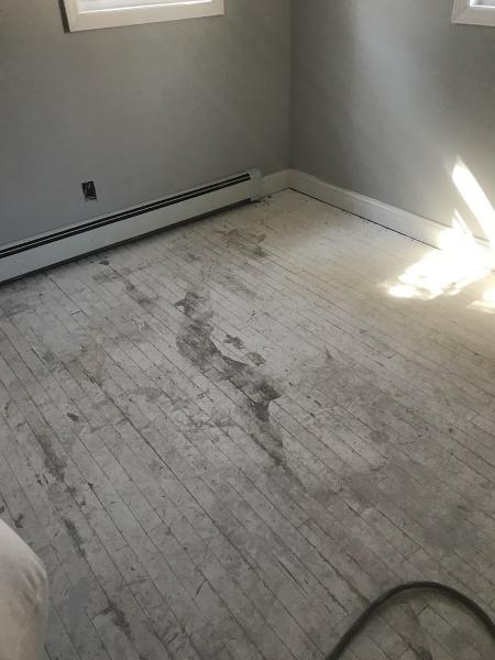 Royal Floor Sanding