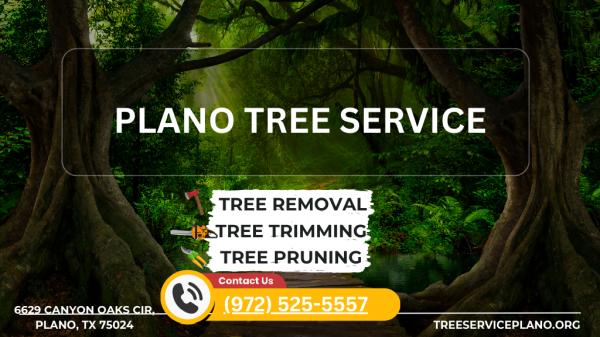 Tree Service Plano
