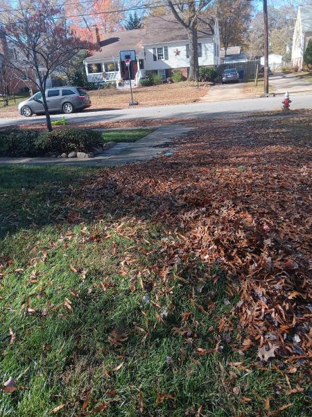 Benitez Landscaping Services LLC