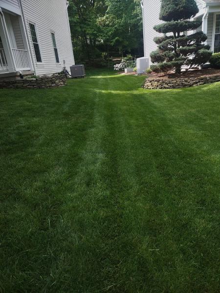 Benitez Landscaping Services LLC