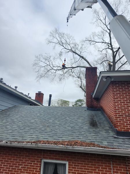 Trimmer Up Tree Service LLC
