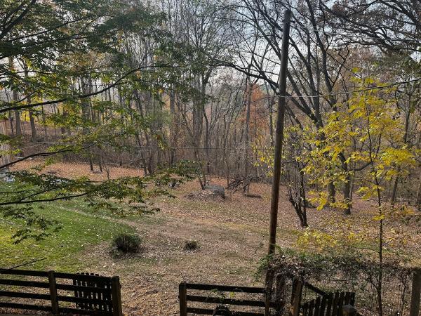 Veterans Forestry Mulching