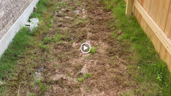 CTX Mowing