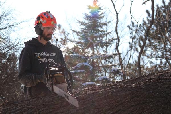 Terrashape Tree Company