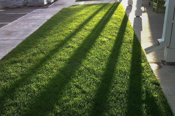 Green Valley Turf Co.