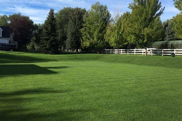 Green Valley Turf Co.