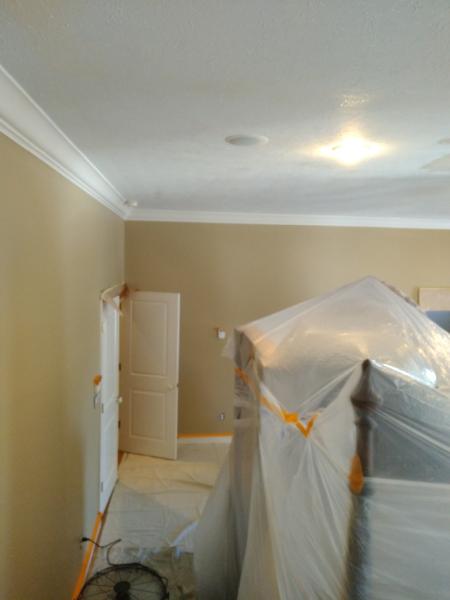 Alpha Paint and Stain