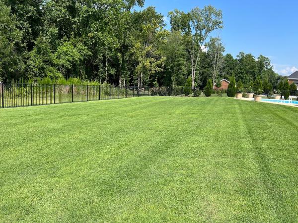Pirate Lawns