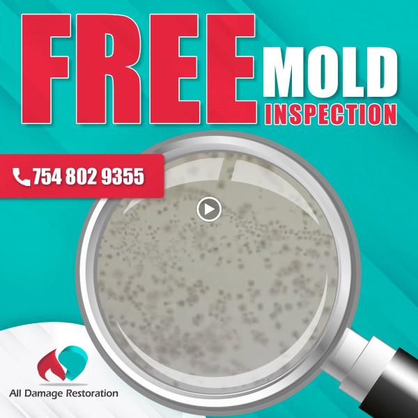All Damage Restoration