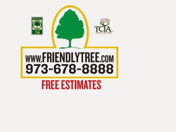 Friendly Tree Service- Fine Pruning