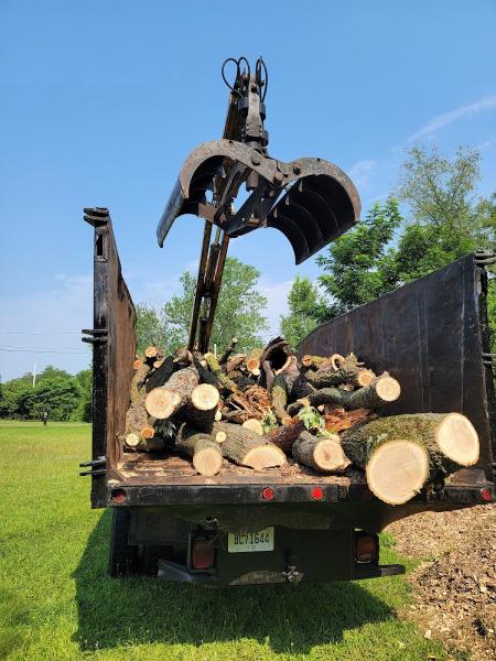 Shepard's Tree Removal