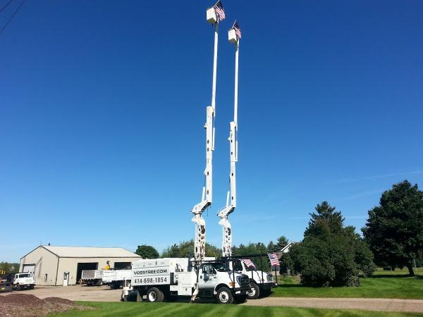 Voss Treemendous Tree Service