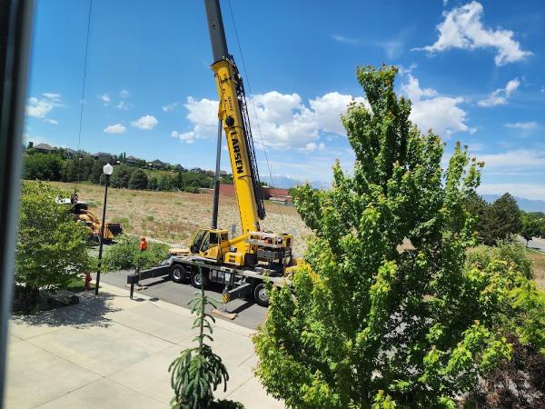 Affordable Tree Care