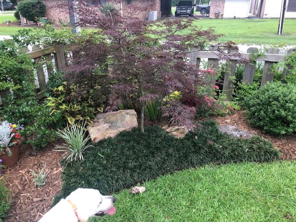 Robin's Landscaping & Irrigation LLC