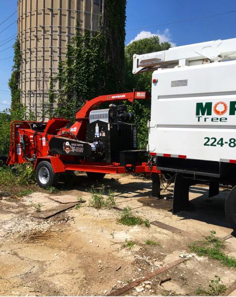 Morales Tree Service