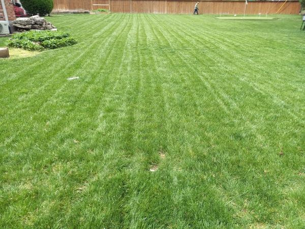 Tom's Outdoor Living