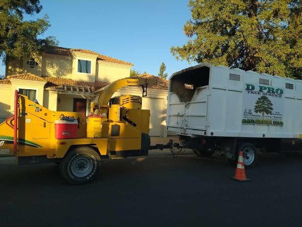 D Pro Tree Service