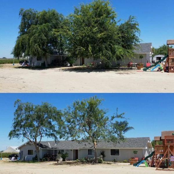 D Pro Tree Service