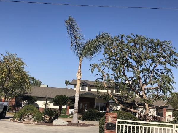 Empire Tree Service INC