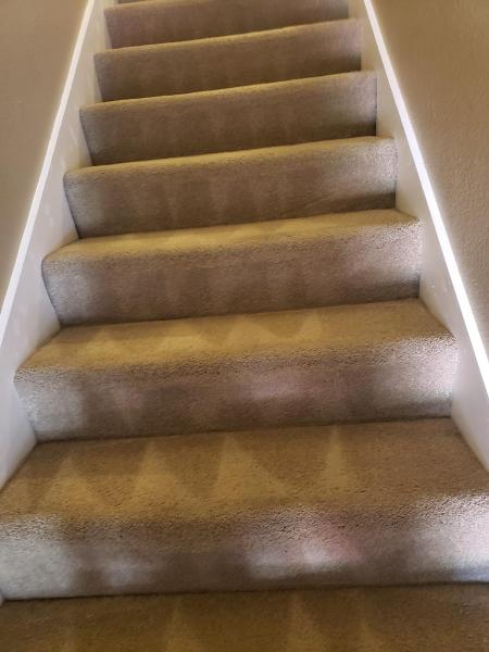 Aladdin Magic Carpet Cleaning