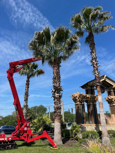 Florida Living Tree Service Inc
